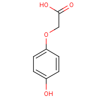 4-Hydroxyphenoxyacetic acid formula graphical representation
