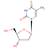 Thymidine formula graphical representation