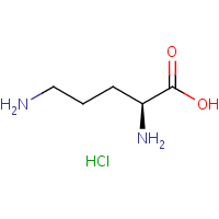 L-Ornithine monohydrochloride formula graphical representation