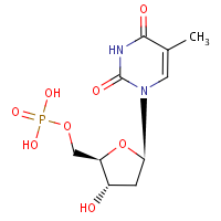 Thymidine 5'-monophosphate formula graphical representation
