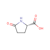 L-Pyroglutamic acid formula graphical representation