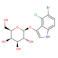 5-Bromo-4-chloro-3-indolyl beta-galactoside formula graphical representation