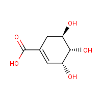 Shikimic acid formula graphical representation