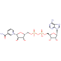 Nicotinamide adenine dinucleotide formula graphical representation