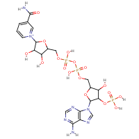 beta-Nicotinamide adenine dinucleotide phosphate sodium salt formula graphical representation