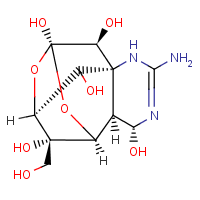 Tetrodotoxin formula graphical representation