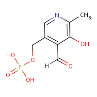 Pyridoxal 5-phosphate formula graphical representation