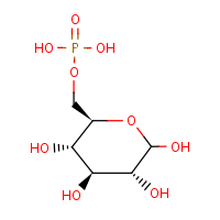 Glucose-6-phosphate formula graphical representation