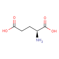 Glutamic acid formula graphical representation