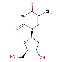 Tritiated thymidine formula graphical representation