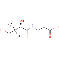 Pantothenic acid formula graphical representation