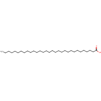 Hentriacontanoic acid formula graphical representation