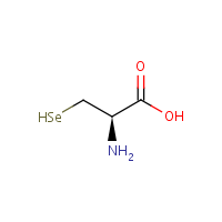 Selenocysteine formula graphical representation