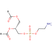 Phosphatidylethanolamine formula graphical representation