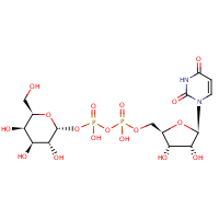 Uridine diphosphate galactose formula graphical representation