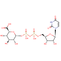 Uridine diphosphate glucuronic acid formula graphical representation