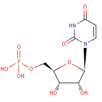 5'-Uridylic acid formula graphical representation
