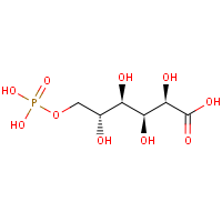 6-Phosphogluconic acid formula graphical representation