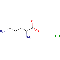 DL-Ornithine hydrochloride formula graphical representation