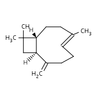 Caryophyllene formula graphical representation