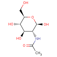 N-Acetylglucosamine formula graphical representation