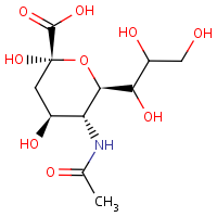 N-Acetylneuraminic acid formula graphical representation