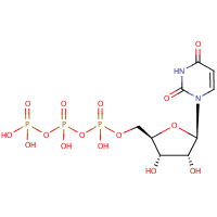 Uridine 5'-triphosphate formula graphical representation
