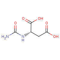 L-Aspartic acid, N-(aminocarbonyl)- formula graphical representation