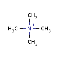 Tetramethylammonium formula graphical representation