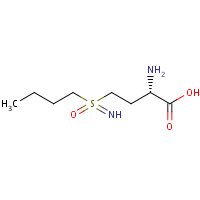 DL-Buthionine-(S,R)-sulfoximine formula graphical representation